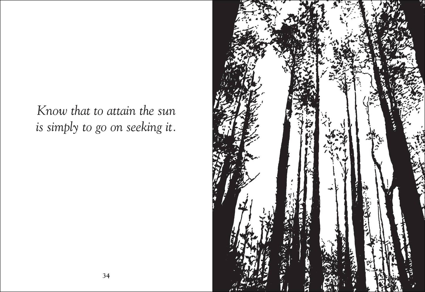 Things Trees Know