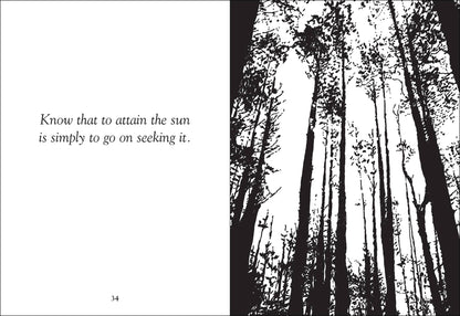 Things Trees Know