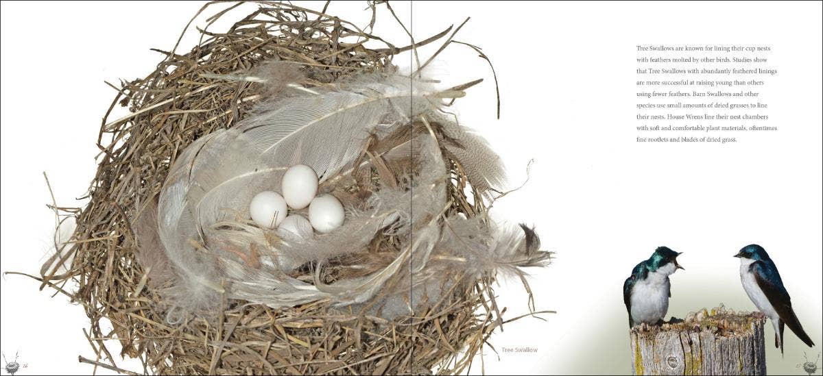 Bird Nests: A Coffee Table Book by Stan Tekeila