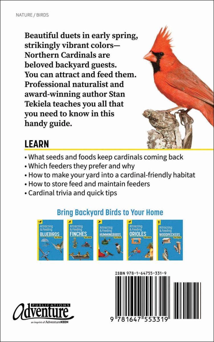 Attracting & Feeding Cardinals
