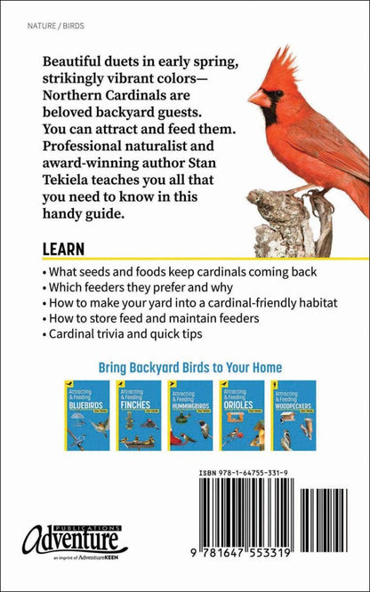 Attracting & Feeding Cardinals