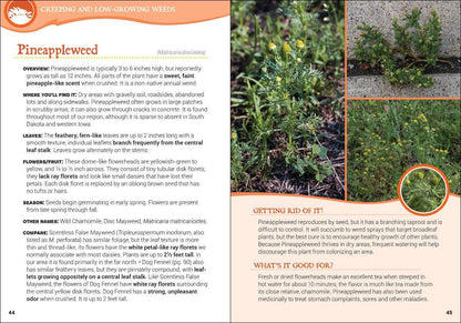 Common Backyard Weeds of the Upper Midwest