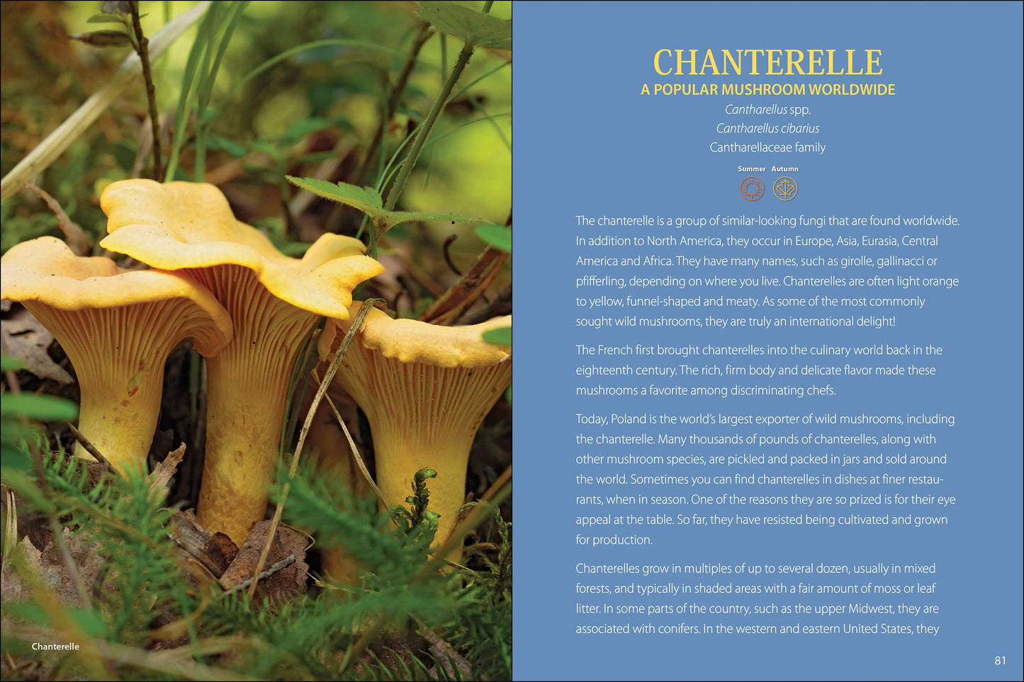 Start Mushrooming 2e
