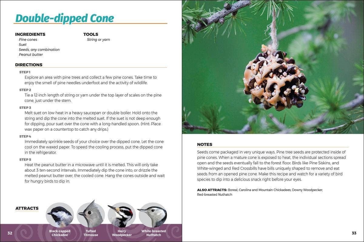 Homemade Bird Food 2e