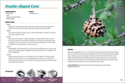 Homemade Bird Food 2e