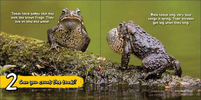 Can You Count the Critters?