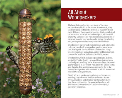 Attracting & Feeding Woodpeckers