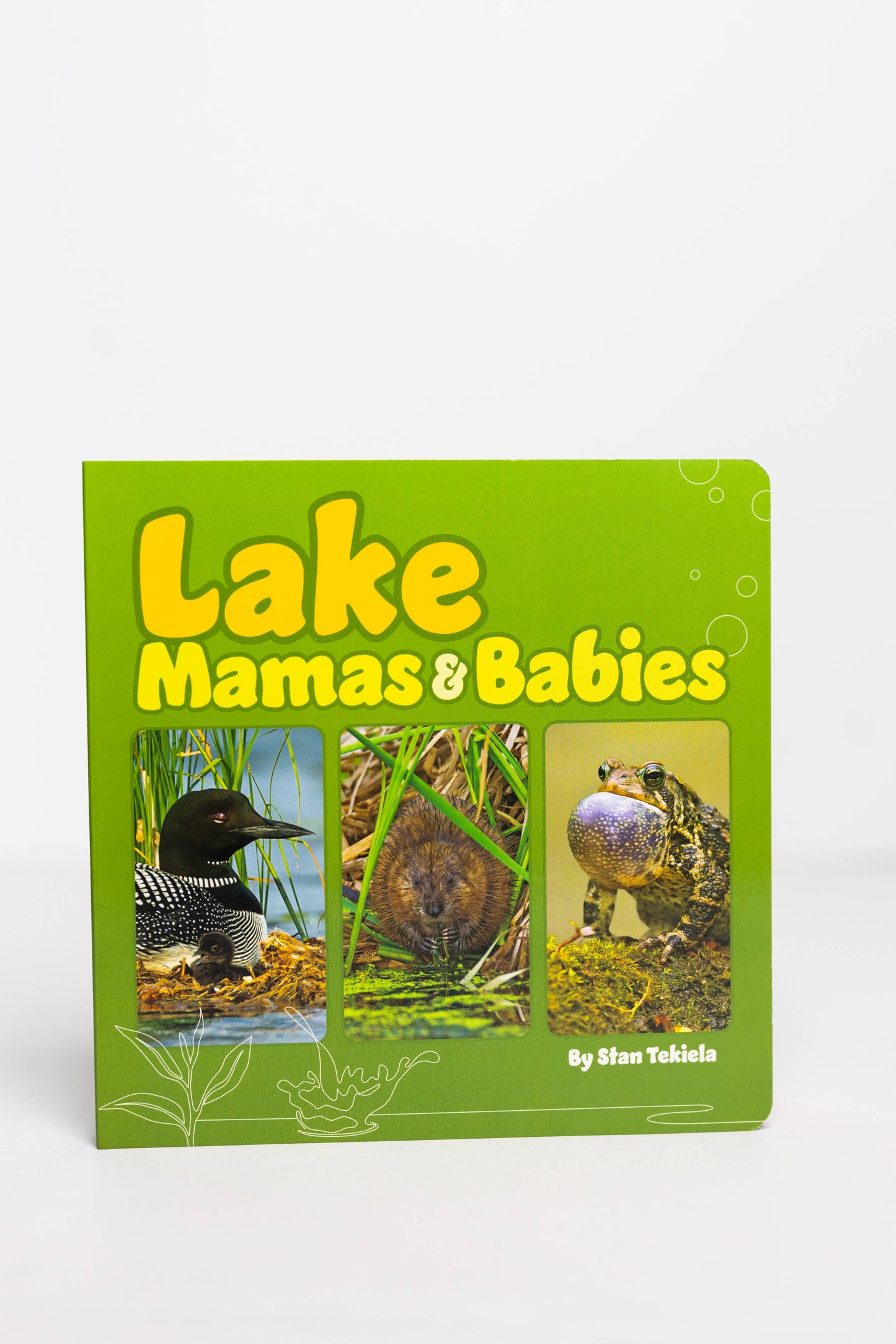 Lake Mamas & Babies