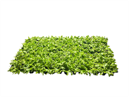 98 Cell Pack Venus Fly Traps - Liners