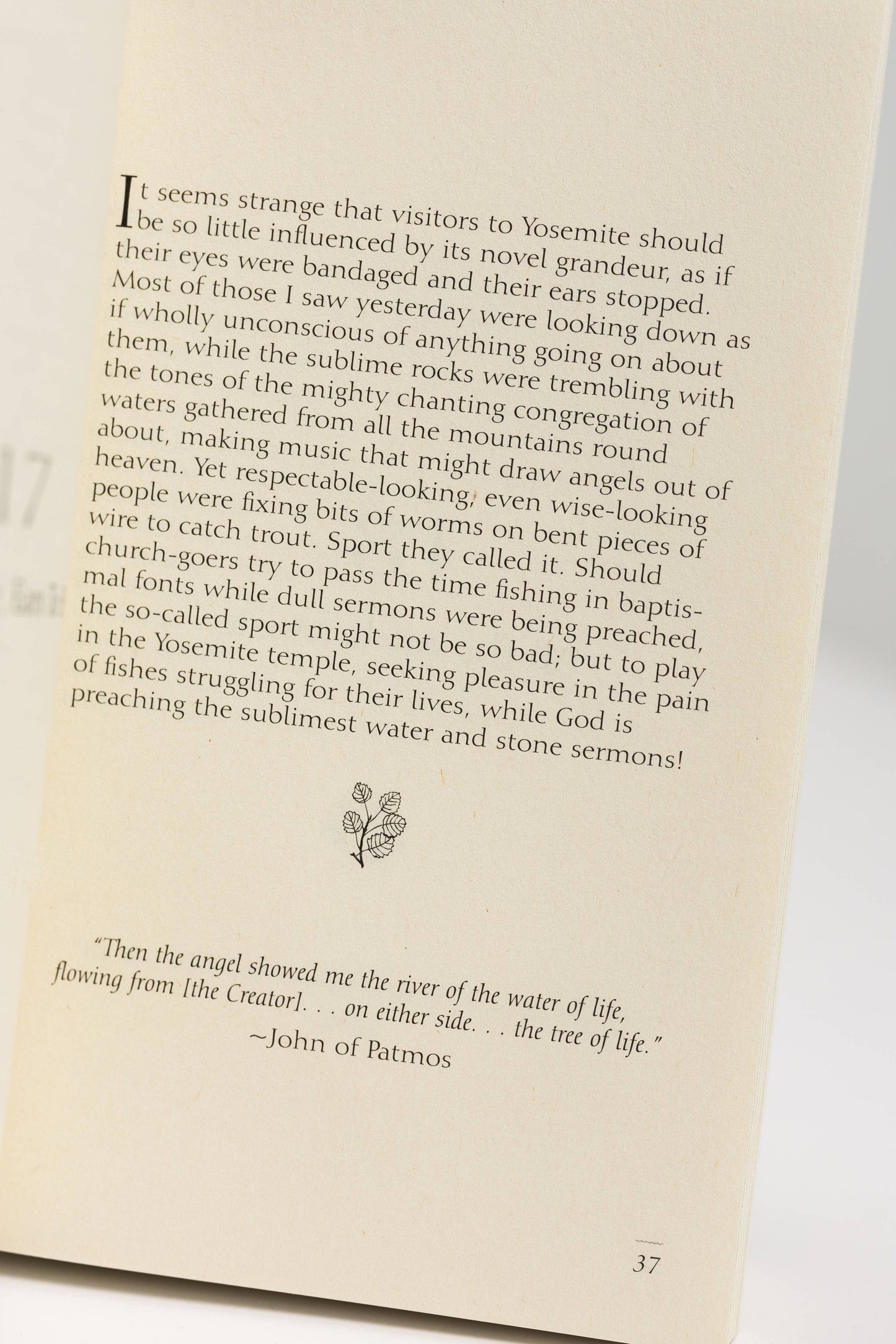 Meditations of John Muir